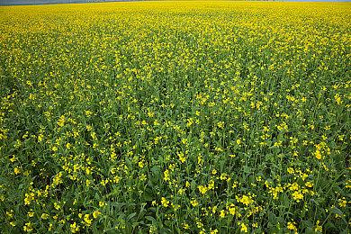 回合制FPS《雷能思之门》全新预告 9月28登陆全平台