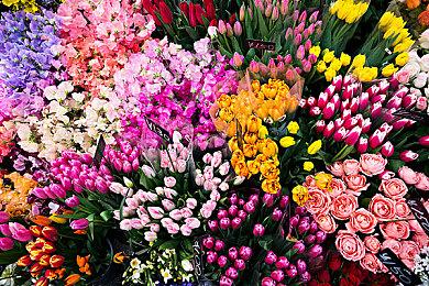 《特斯拉学徒2》公布新预告片 2023年春全平台发售